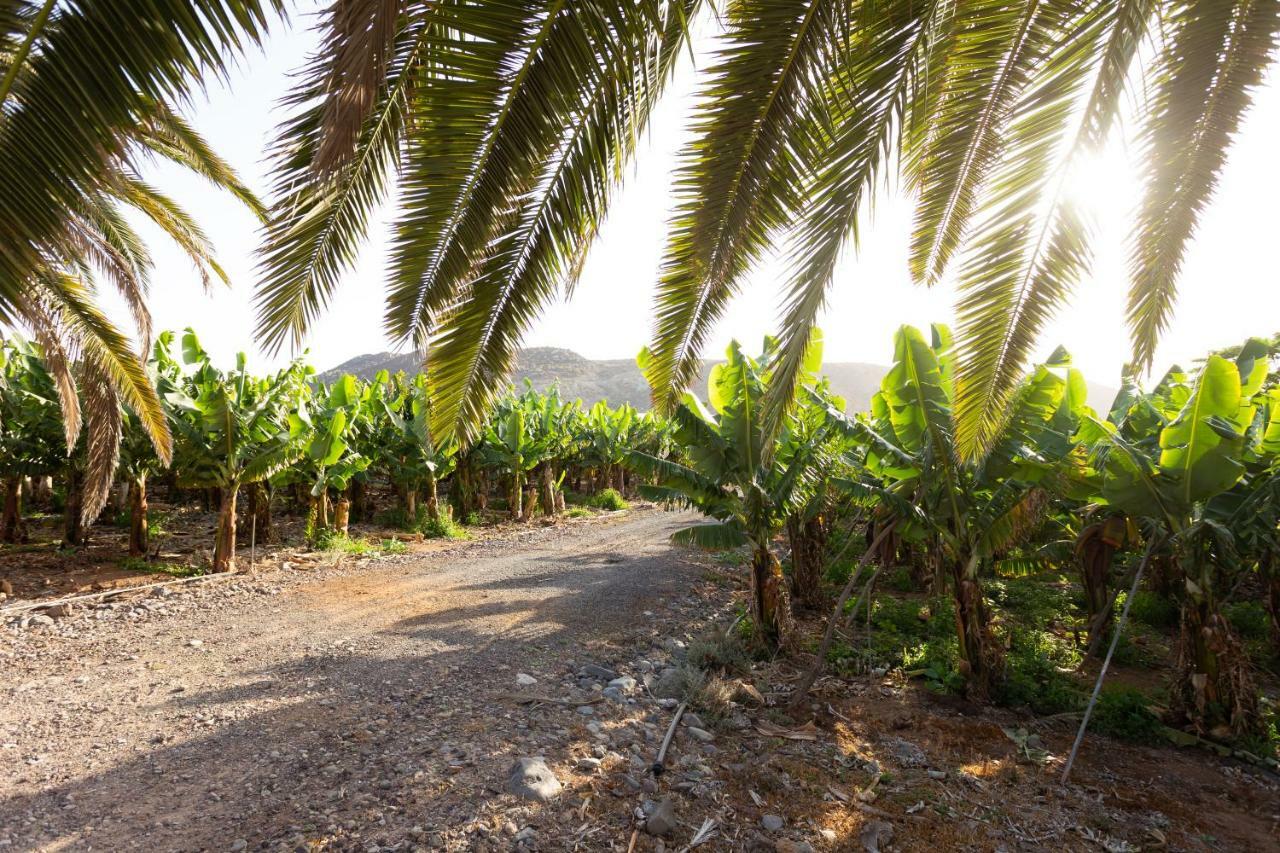 Casita 1, Caserio De Guaza Palm-mar Eksteriør bilde